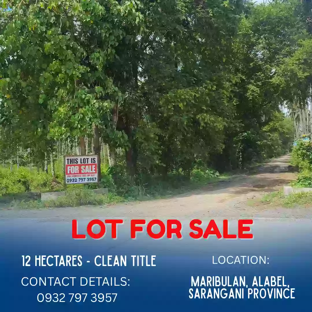 ALABEL LOT FOR SALE (very accessible to road) - Maribulan, Alabel, Sarangani Province — Residential Lot in Alabel, Sarangani, Philippines — Photo 2