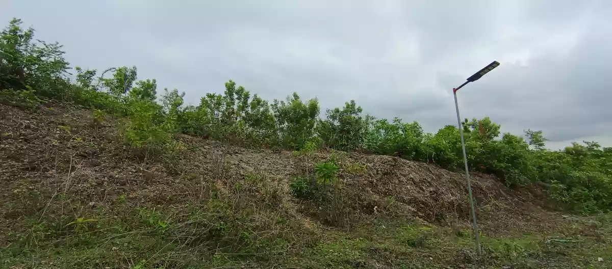 Lot For Sale in Sitio Libo, San Roque, Liloan Cebu — Agricultural Lot in Camino Vicinal Road, libho, Liloan — Photo 7