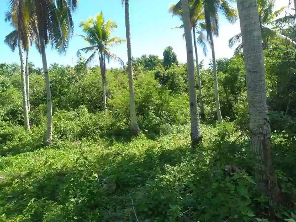 Lot for Sale – A Rare Opportunity! 