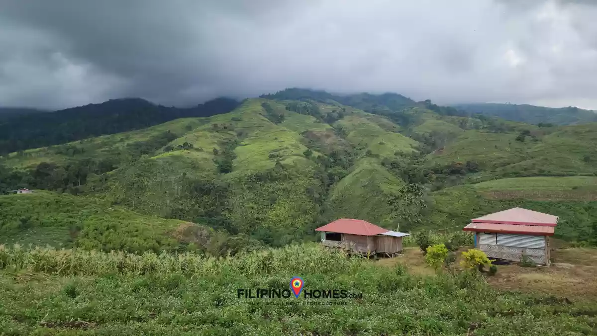 2.2 Hectares Farm Lot with 360° View in Basak, Lantapan, Bukidnon — Agricultural Lot in Lantapan, Bukidnon, Philippines — Photo 7