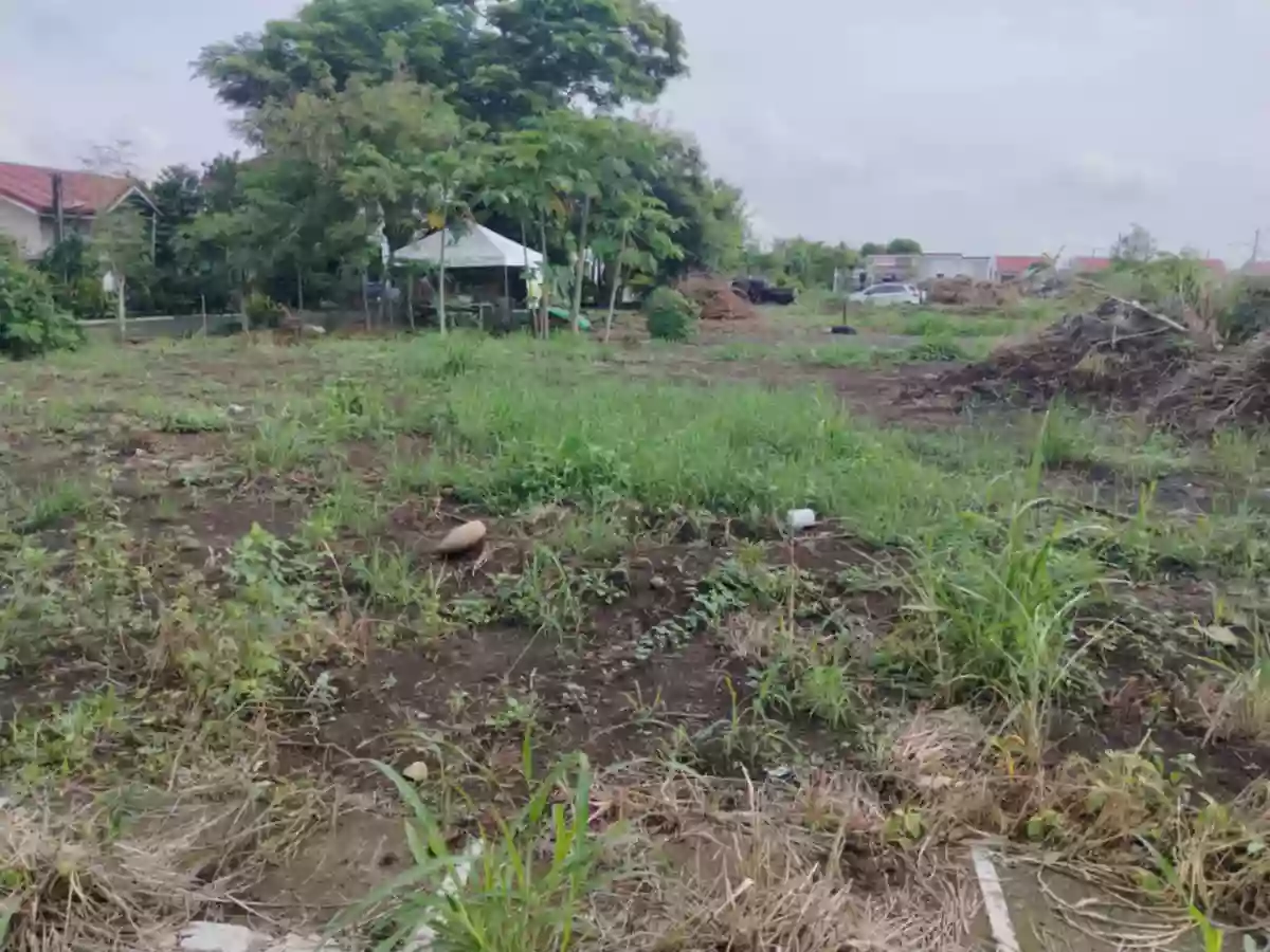 RESIDENTIAL LOT — Residential Lot in Pili, Camarines Sur, Philippines — Photo 4