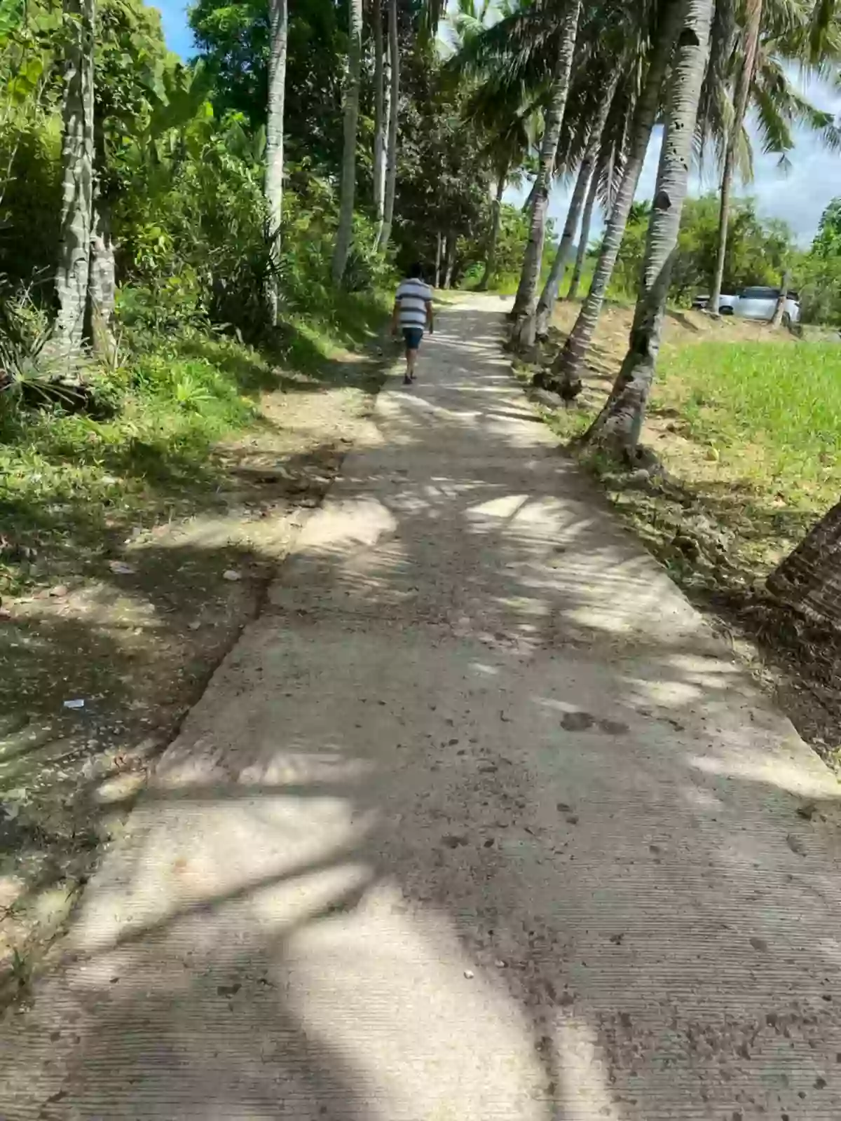 FARM LOT FOR SALE AT DANAO CITY CEBU — Agricultural Lot in Danao City, Cebu, Philippines — Photo 6