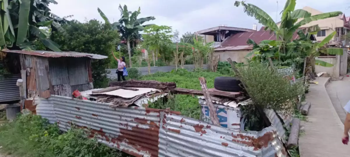 Lot For Sale in Canlingo, Sabang Danao City — Residential Lot in Danao City, Cebu, Philippines — Photo 3