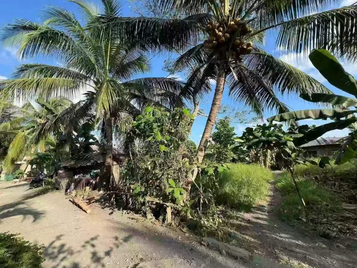 Residential Lot — Residential Lot in City of Cabadbaran, Agusan del Norte, Philippines — Photo 3