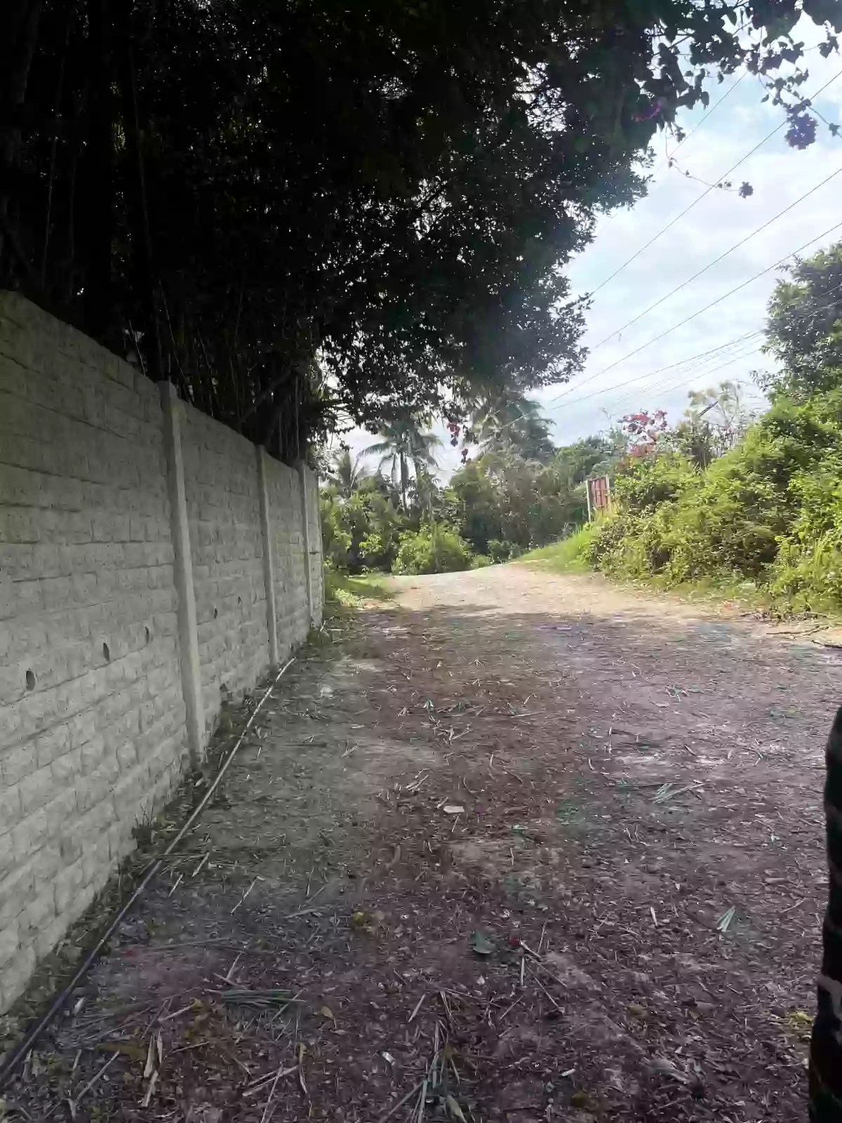 LOT FOR SALE SAMAL ISLAND — Residential Lot in Samal, Davao del Norte, Philippines — Photo 3