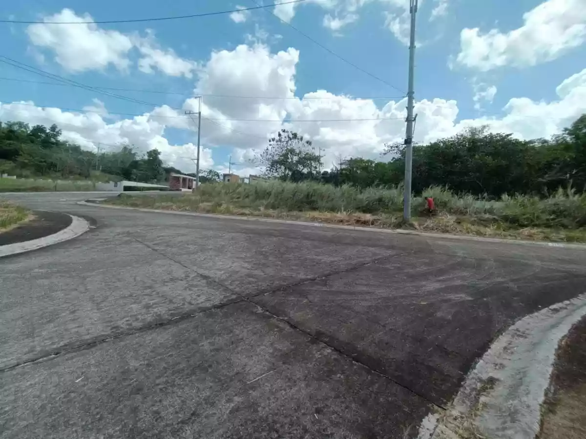 LOT FOR SALE AT THE GLADES TIMBERLAND — Residential Lot in San Mateo, Rizal, Rizal — Photo 4