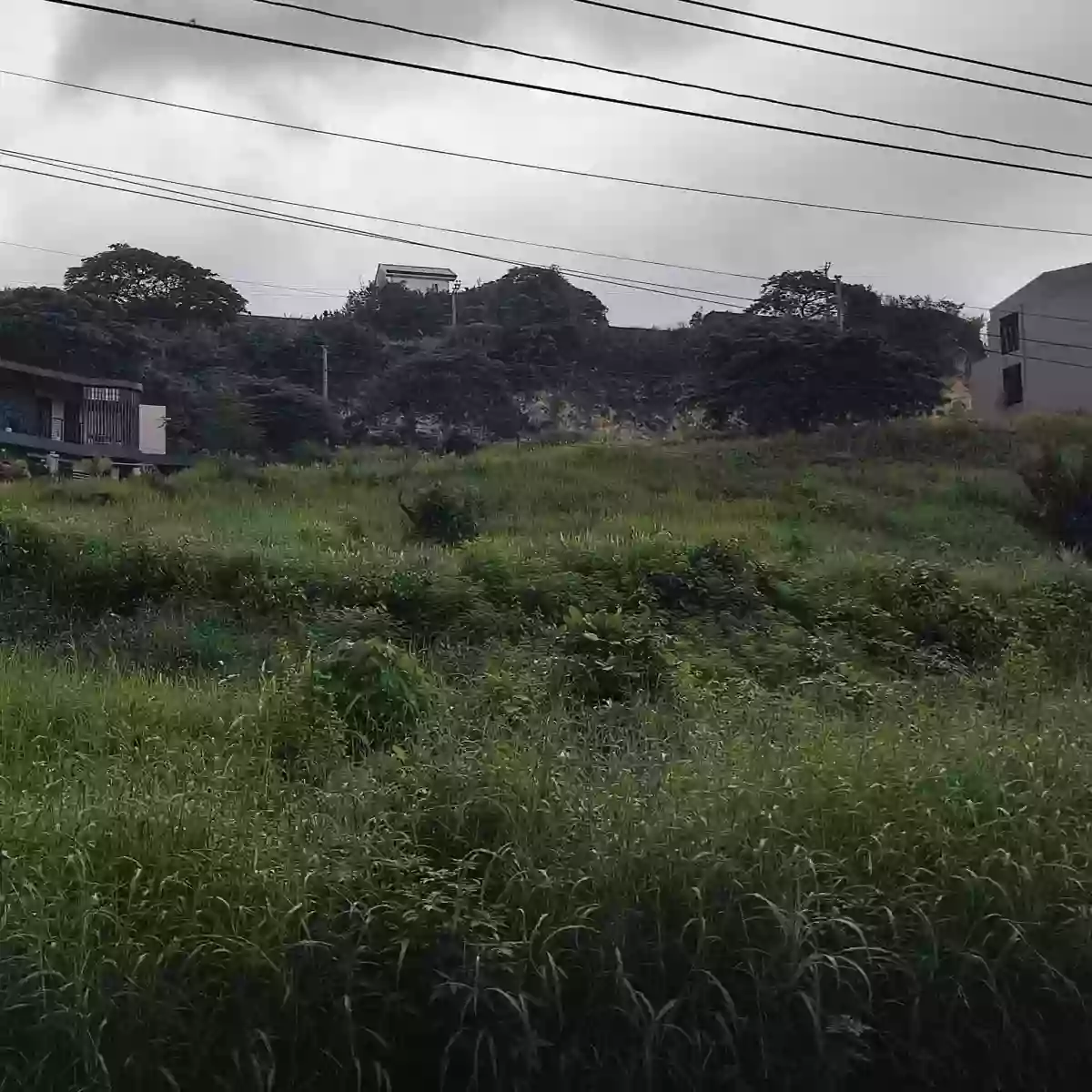 142 SQMS LOT in ASPEN HEIGHTS (quiet,private subdivision) in ASPEN HEIGHTS TOLOTOLO Consolacion — Residential Lot in Cebu, Philippines — Photo 3
