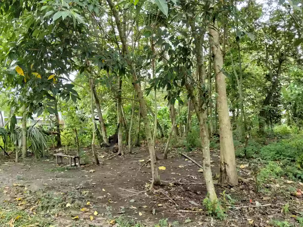 LOT — Residential Lot in Koronadal City, South Cotabato, Philippines — Photo 2