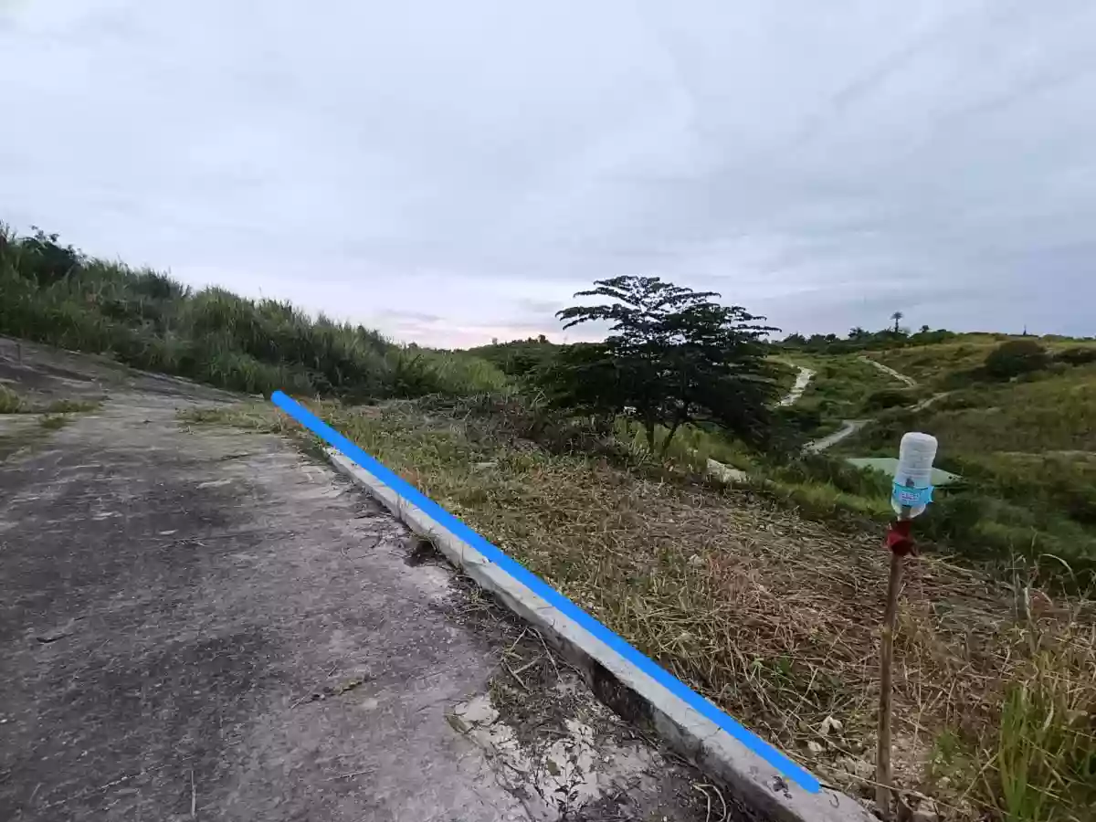 230sqm Residential Lot for Sale in Liloan — Residential Lot in Liloan, Cebu, Philippines — Photo 2