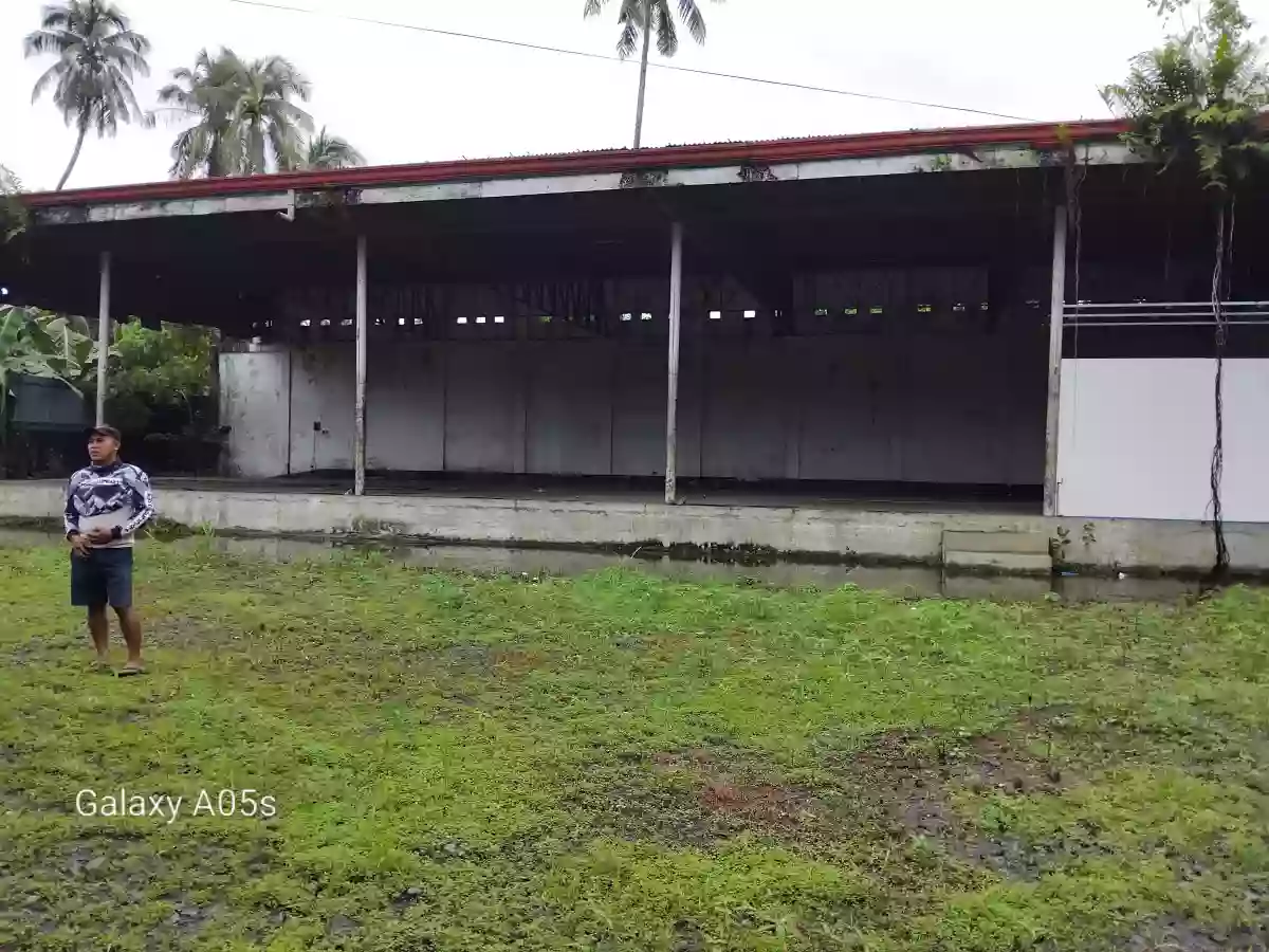 Warehouse for Sale (Hinoba-an) — Warehouse in Hinoba-an, Negros Occidental, Philippines — Photo 4
