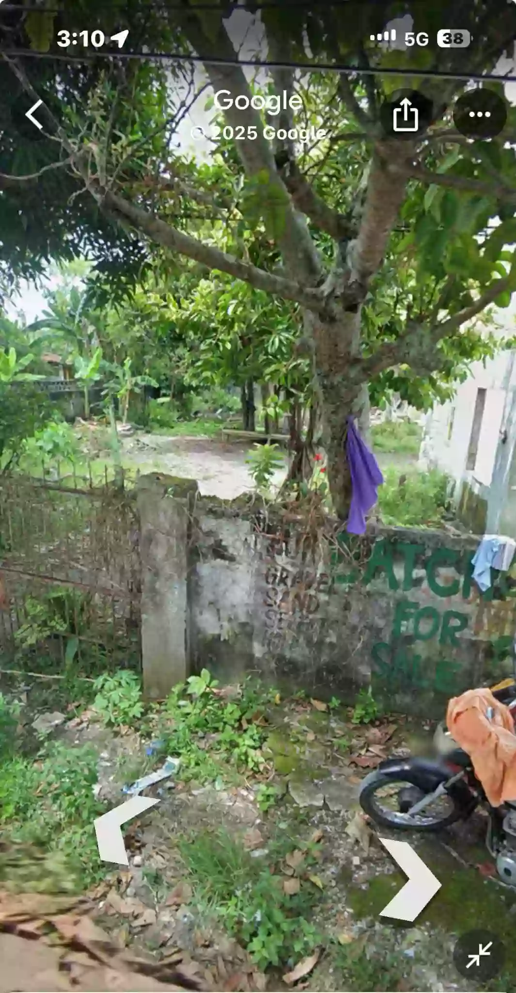Lot for sakes — Residential Lot in Capiz, Philippines — Photo 3