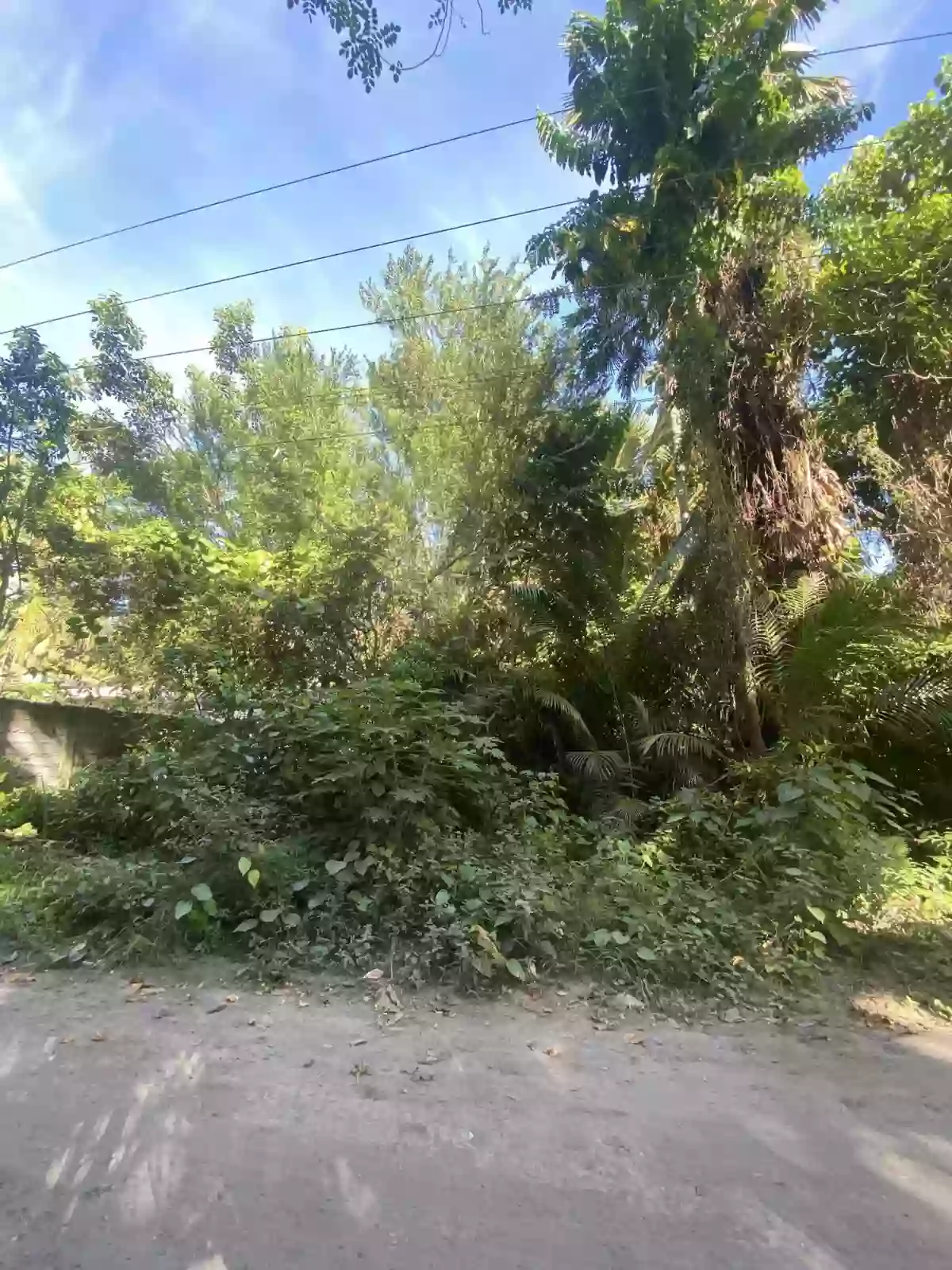 Agricultural / Residential — Residential Lot — Photo 2
