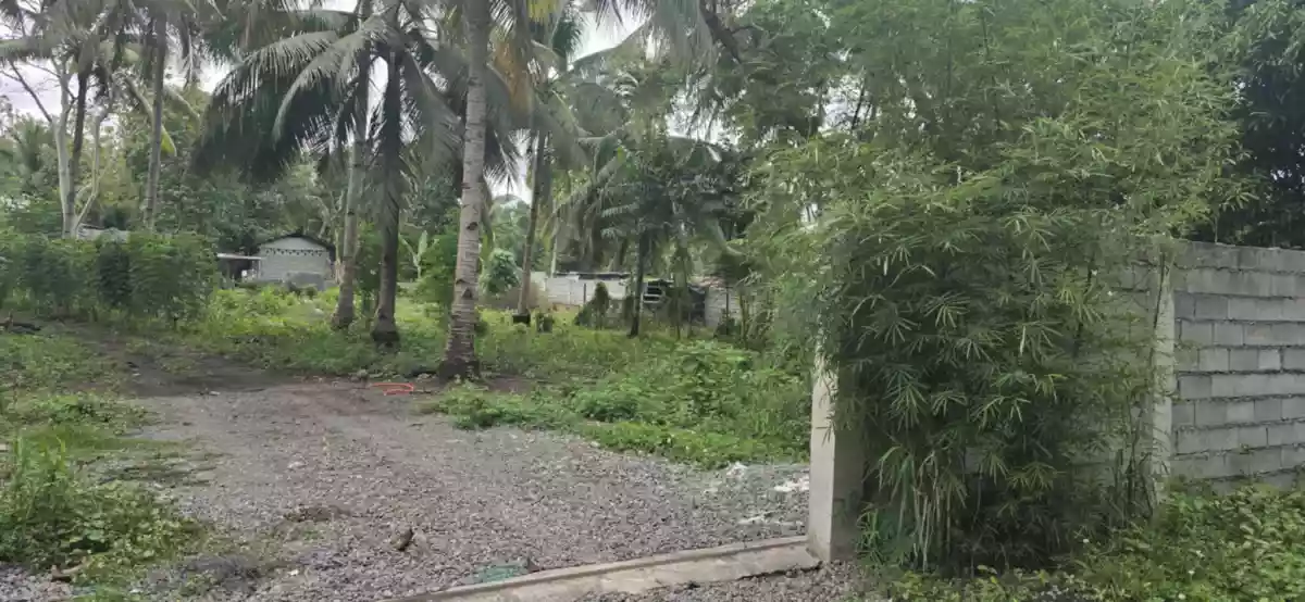 3,000 sqm Lot in Conel near Diversion Road, General Santos City