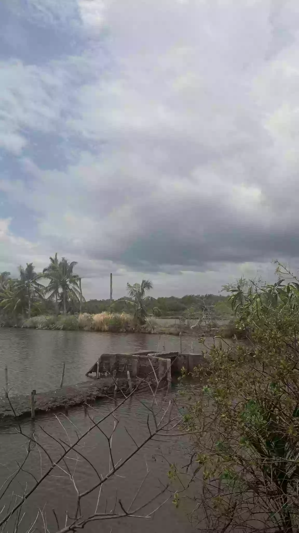 Fish Pool/Pala-Isdaan/Punong — Agricultural Lot in Manapla, Negros Occidental, Philippines — Photo 5