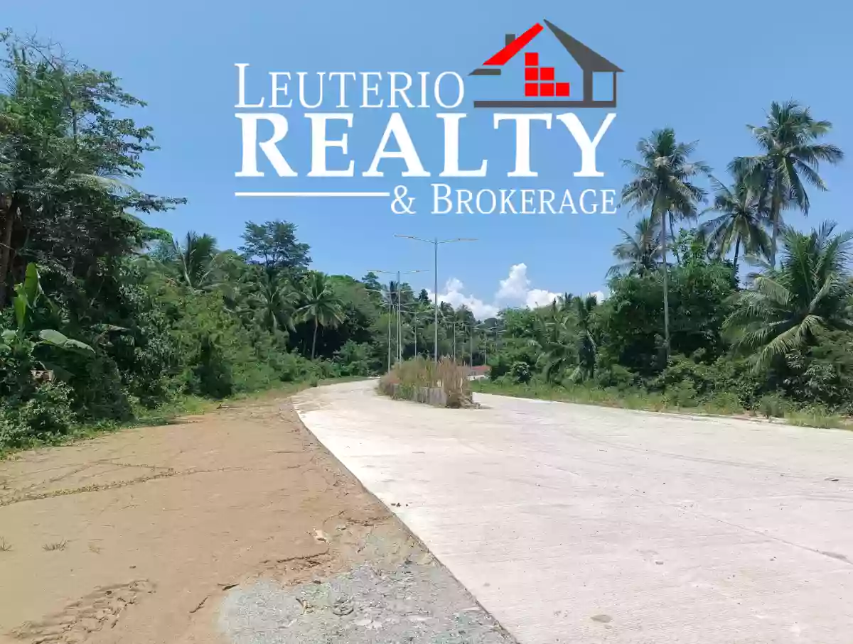 Rush Sale Residential lot in Tanauan Plaridel Quezon — Residential Lot in brgy, Maharlika Highway, Plaridel — Photo 2
