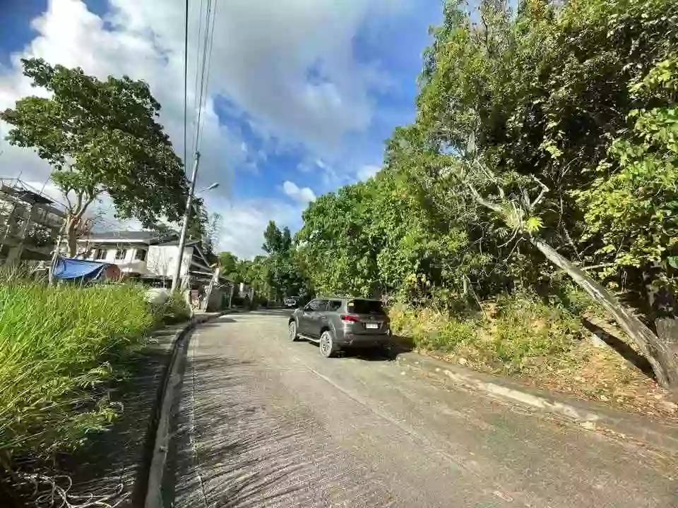 Overlooking Residential Lot in Vista Grande Talisay — Residential Lot in Rio de Janeiro Street, Talisay, Cebu — Photo 4