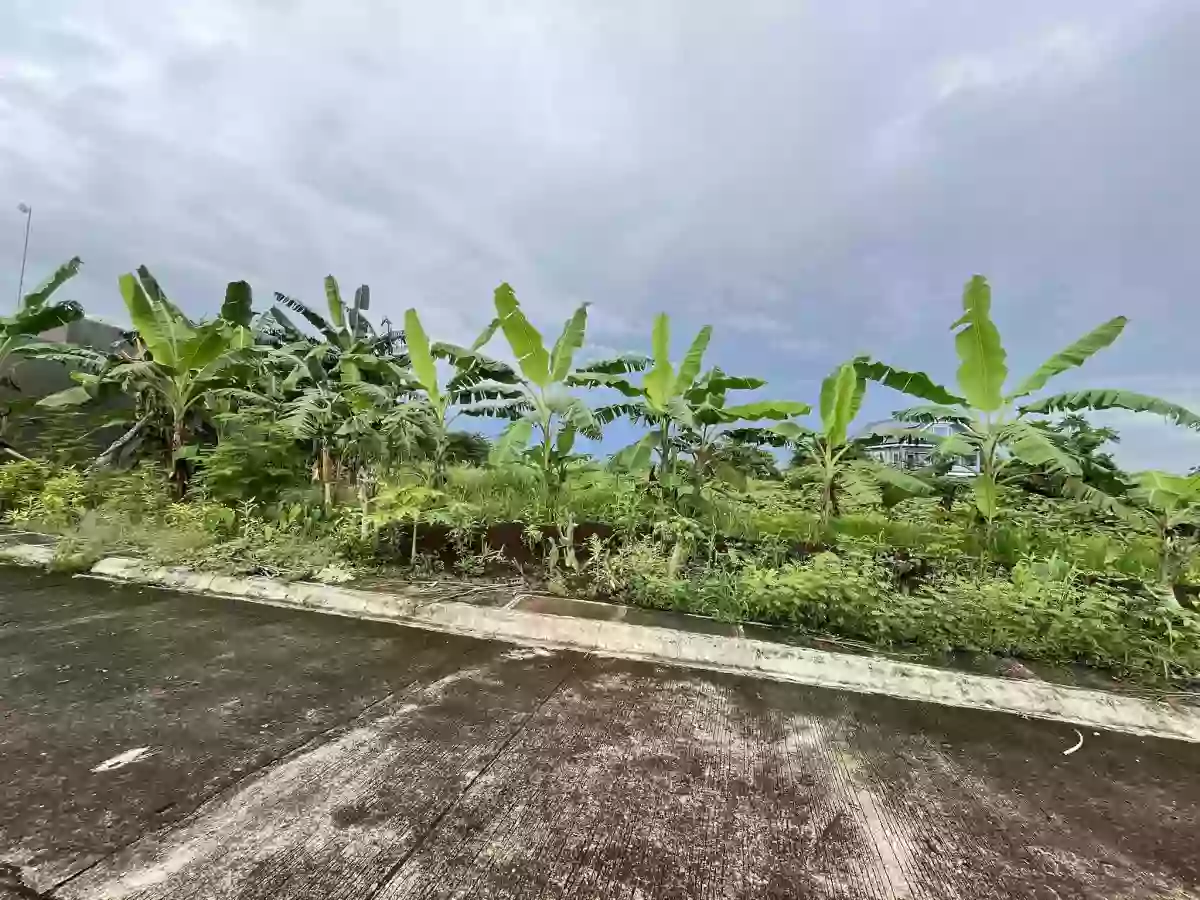 Lot for Sale — Residential Lot in Naga City, Camarines Sur, Philippines — Photo 3