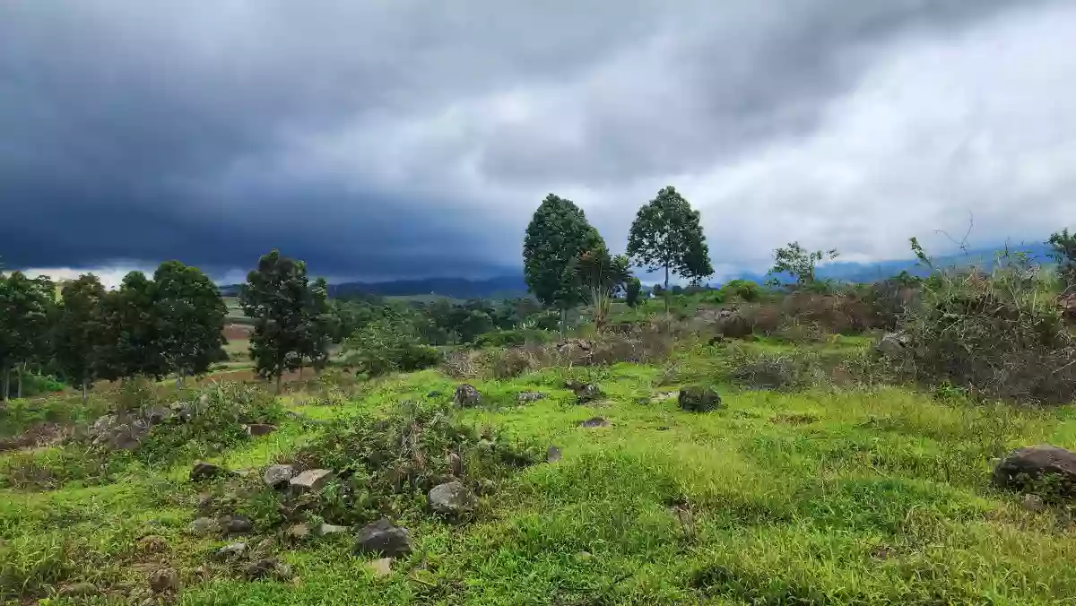 Open photo 12 of 12 — 1.6 hectares Farm Lot for Sale in Basak, Lantapan, Bukidnon