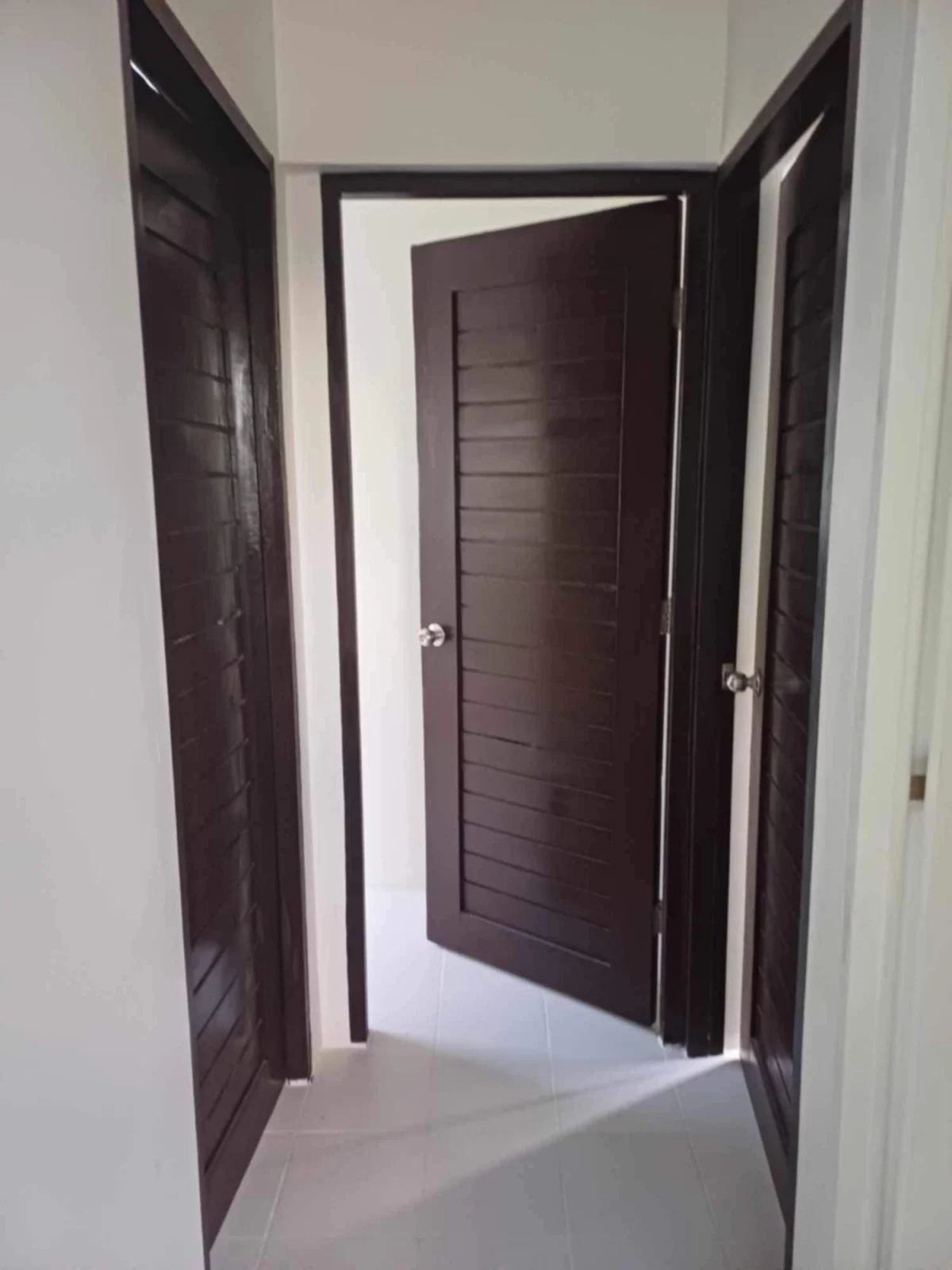 South Valley subdivision — House and Lot in Bago City, Negros Occidental, Philippines — Photo 4