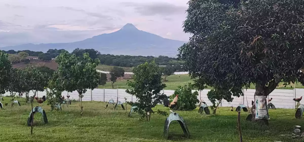  2.5-Hectares Farm, For Sale in Matin-ao Polomolok.