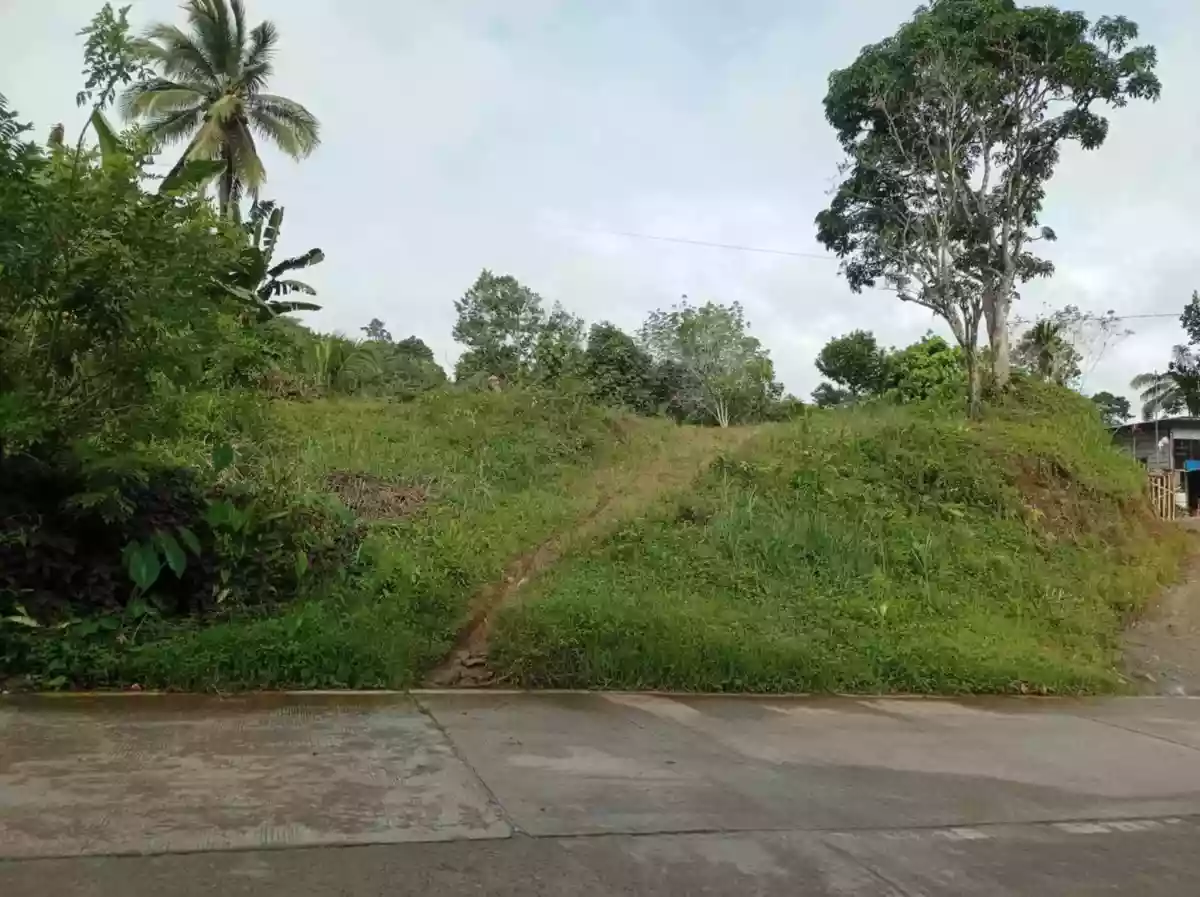 HOME LOT FOR SALE — Residential Lot in Sultan Kudarat, Philippines — Photo 2
