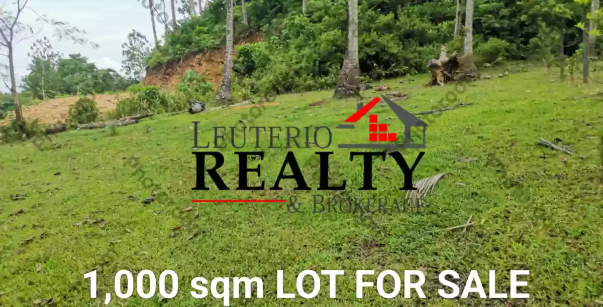 1000 SQM AGRI-FARM LOT FOR SALE — Agricultural Lot in Daraga, Albay, Philippines — Photo 2