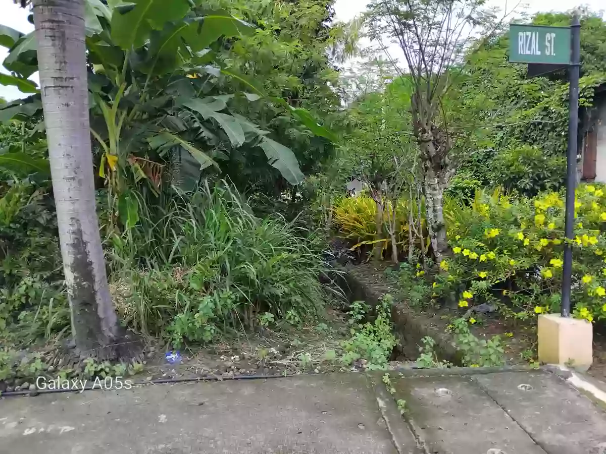 Commercial lot for sale 