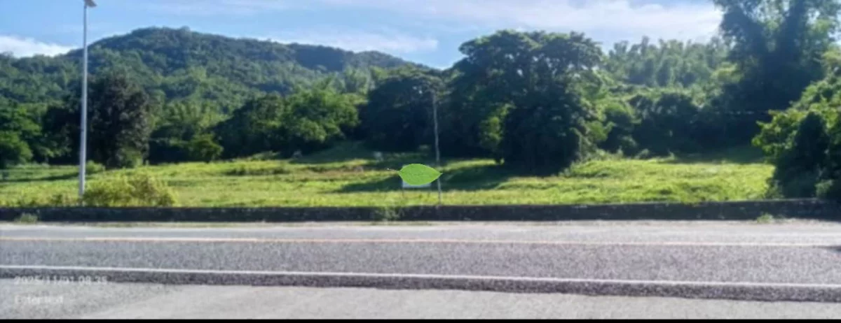 2Has lot at Santiago, Ilocos Sur — Commercial Lot in Ilocos Sur, Philippines — Photo 3