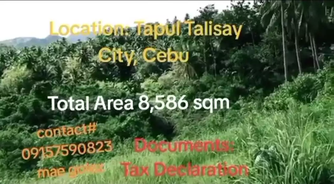 Sacrifice Sale FARM LOT, Tapul, Talisay City — Agricultural Lot in Cebu, Philippines — Photo 4