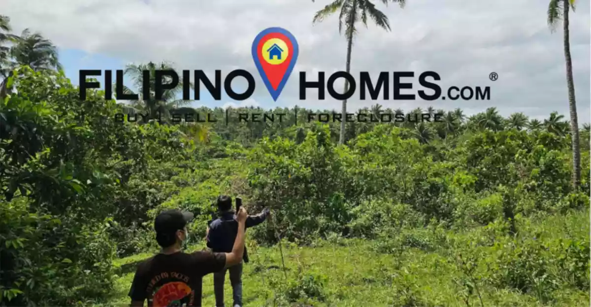 Lot for Sale with  300 meters of road frontage along the national road — Agricultural Lot in Albay, Philippines — Photo 7