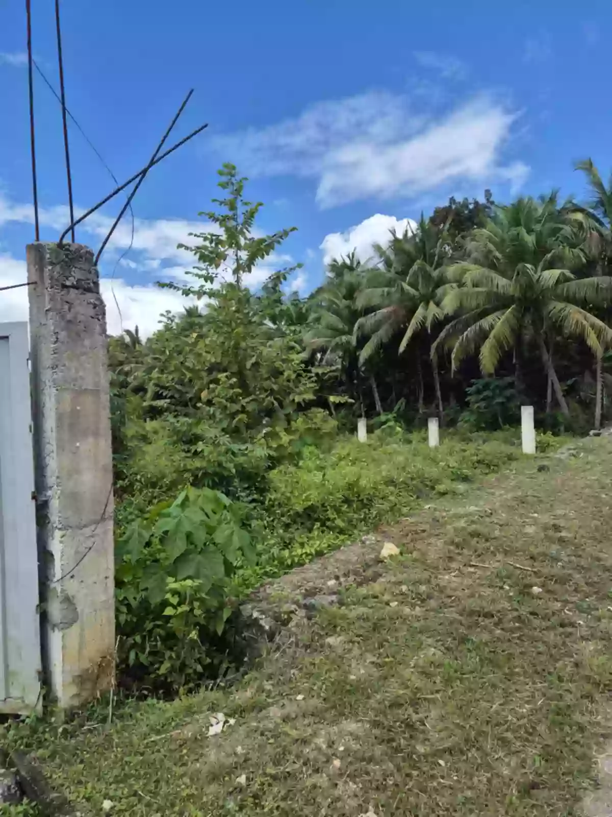 Own a Piece of Paradise – Beach Lot for Sale! — Beach Lot in Cebu, Philippines — Photo 2