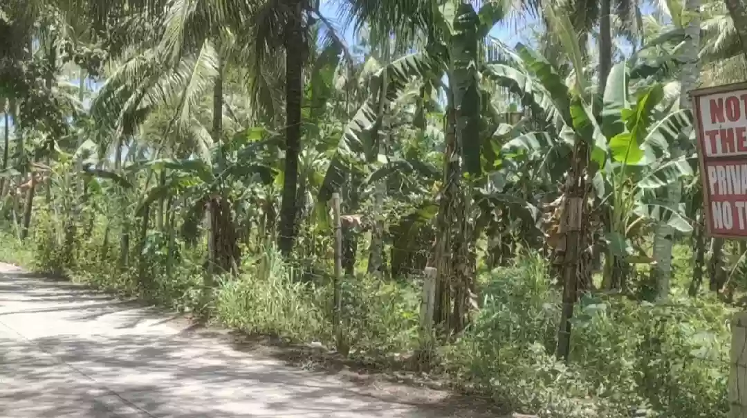 Prime Commercial/Residential Lot for Sale in Brgy. Ligaya, Antonino Street, General Santos! — Commercial Lot in General Santos City (Dadiangas), South Cotabato, Philippines — Photo 4