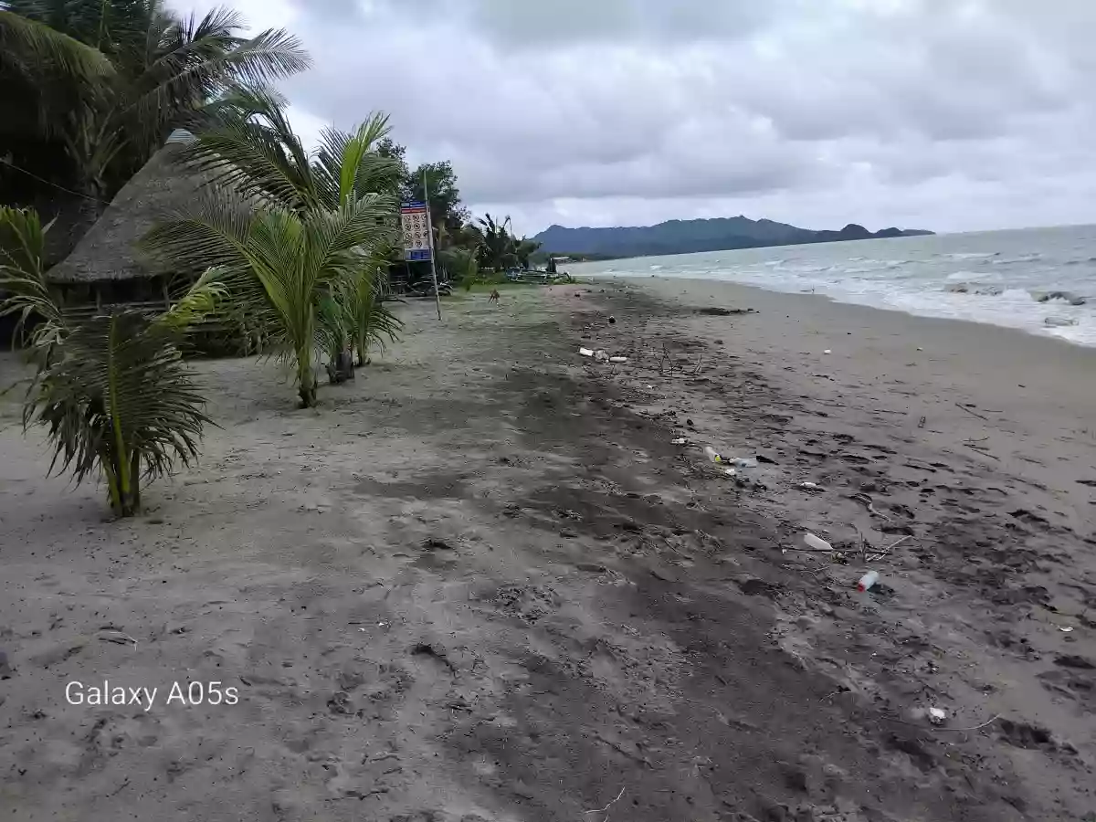 Beach Resort For Sale (Sipalay) — Beach Lot in Sipalay City, Negros Occidental, Philippines — Photo 6