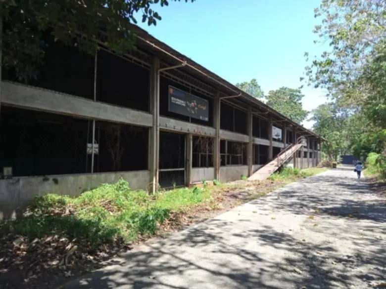 Commercial Warehouses For Sale – Cabancalan, Mandaue City — Warehouse in M. L. Quezon Avenue, Mandaue City, Cebu — Photo 5