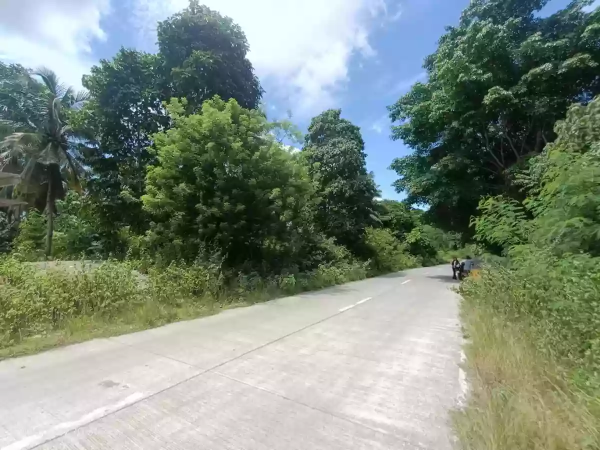 COMMERCIAL LOT ALONG CIRCUMFERENTIAL ROAD IN CAMUDMUD, SAMAL ISLAND, DAVAO DEL NORTE — Commercial Lot in Island Garden City of Samal, Davao del Norte, Philippines — Photo 5