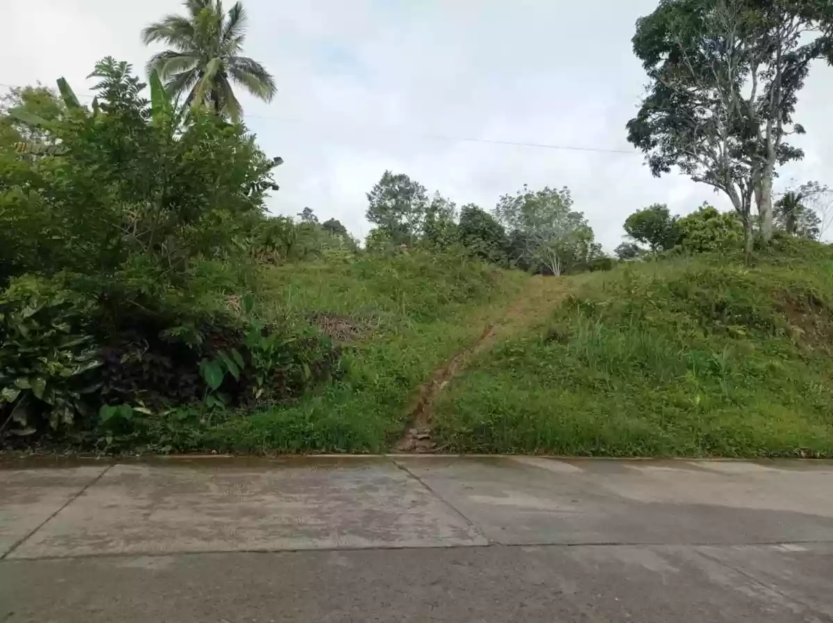 HOME LOT FOR SALE — Residential Lot in Sultan Kudarat, Philippines — Photo 4