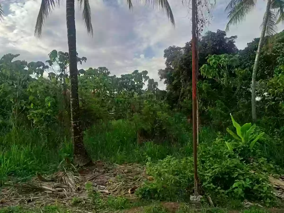 Lot for saler — Residential Lot in Negros Oriental, Philippines — Photo 4
