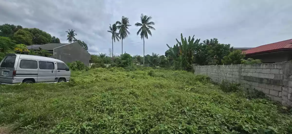 LOT FOR SALE IN CAMANJAC DUMAGUETE — Agricultural Lot in Dumaguete City, Negros Oriental, Philippines — Photo 3