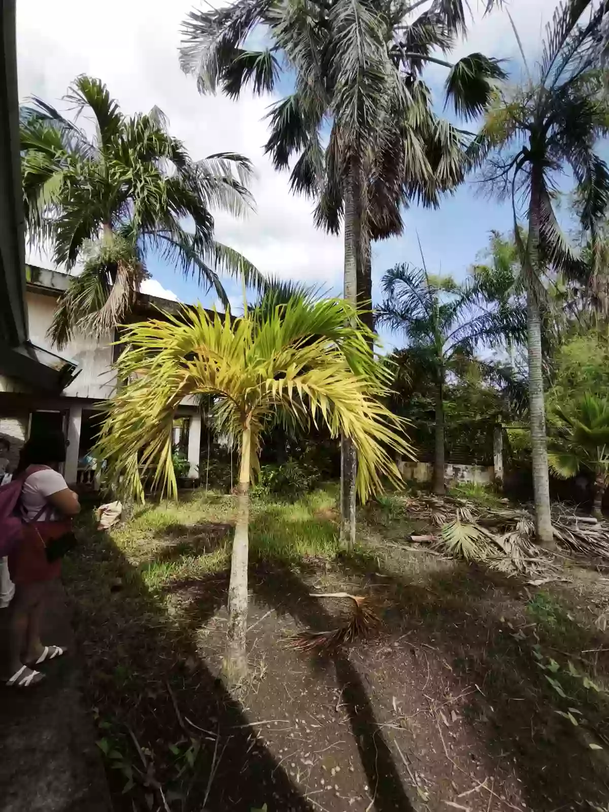 House and Lot for sale with big vacant lot at the back in Arevalo, Villa, Iloilo 