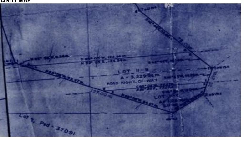 COMMERCIAL LOT FOR SALE — Commercial Lot in Pan-Philippine Highway, Talomo, Davao City — Photo 5