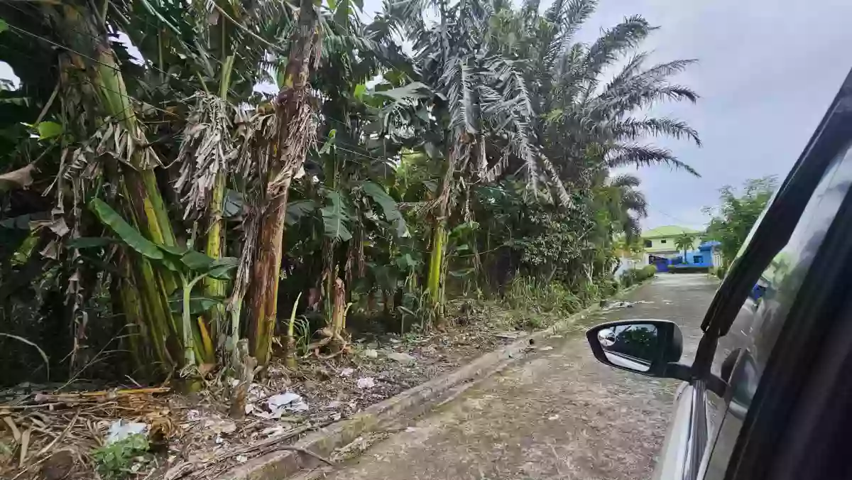 SACRIFICE RESIDENTIAL LOT FOR SALE AT CARMELA VILLAGE EXECUTIVE! — Residential Lot in San Esteban Street, Talisay City, Negros Occidental — Photo 5