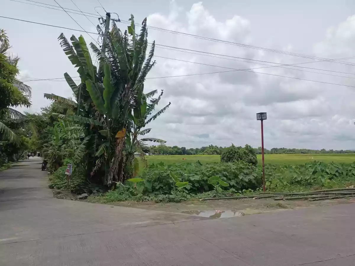 Residential Lot for Sale — Residential Lot in Pili, Camarines Sur, Philippines — Photo 6