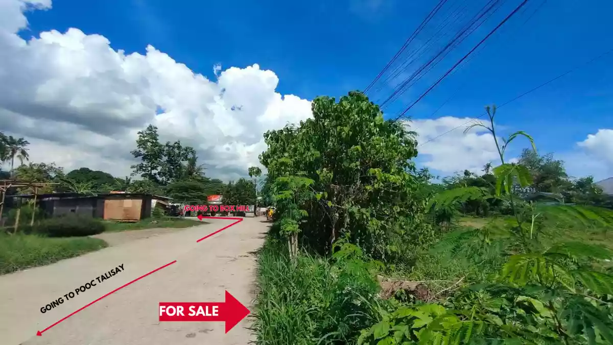 LOT FOR SALE in Mohon Talisay City, Cebu!