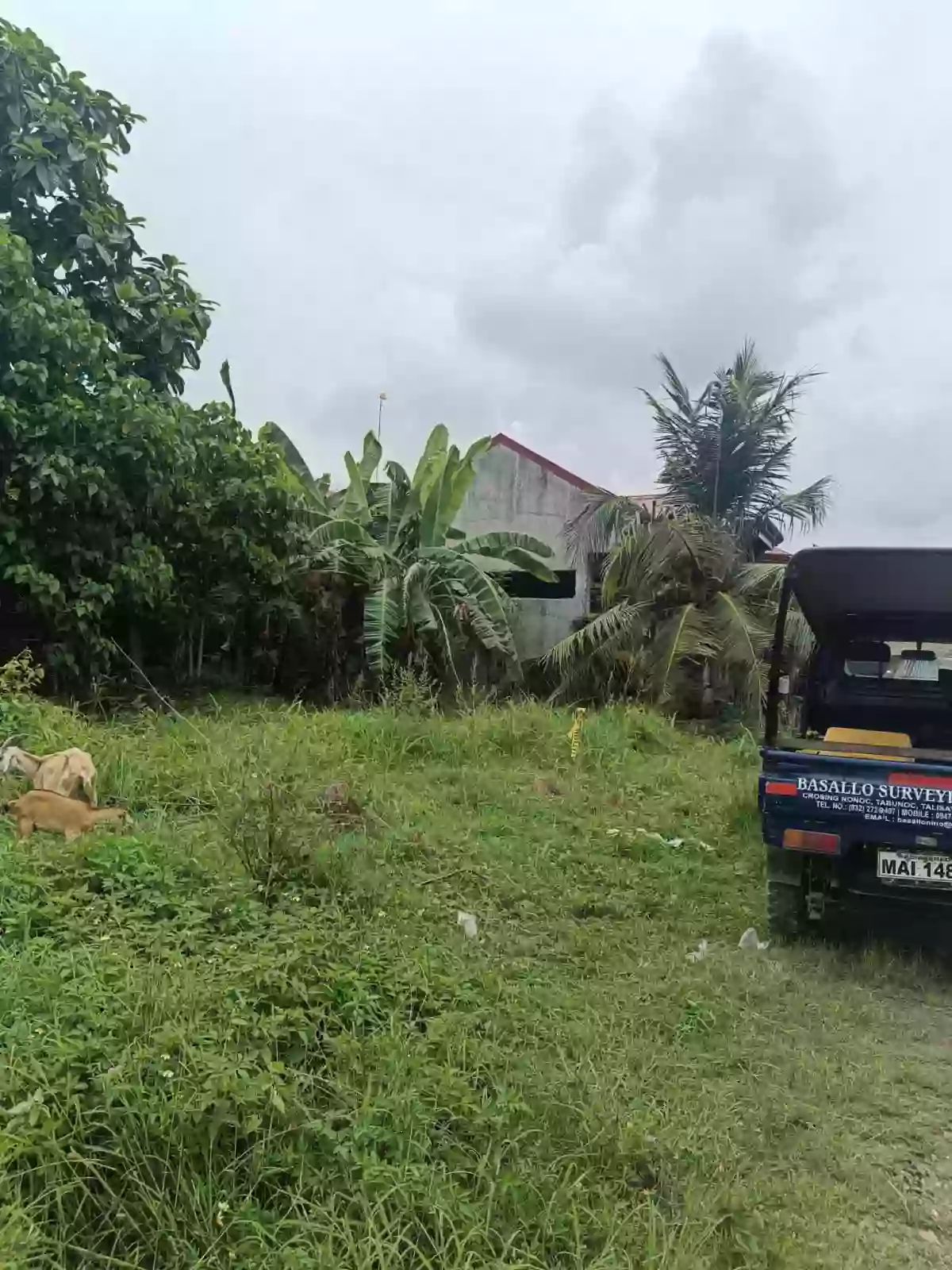 For Sale Residential Lot in Minglanilla — Residential Lot in Minglanilla City, Cebu, Philippines — Photo 3