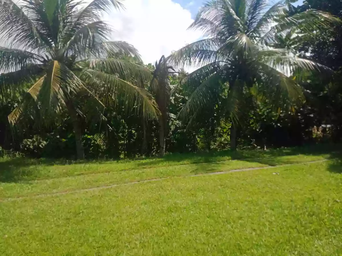 Agricultural and Residential Lot in Koronadal 5.6 Hectares For Sale! — Agricultural Lot in Koronadal City, South Cotabato, Philippines — Photo 4