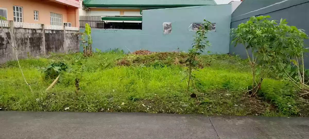 Lot for Sale!!! — Residential Lot in Naga City, Camarines Sur, Philippines — Photo 2