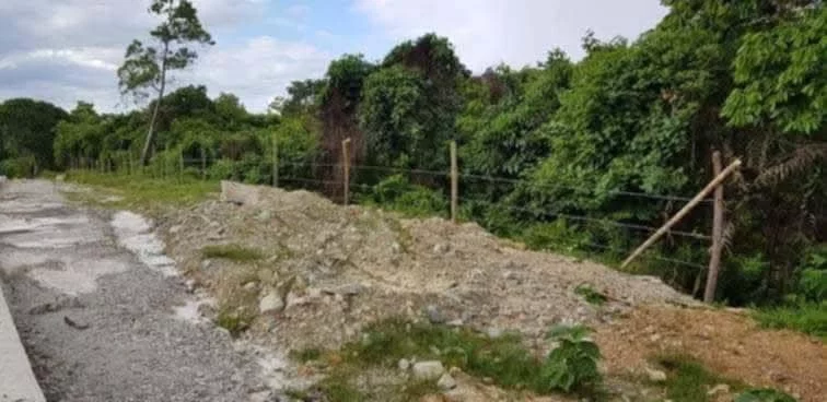 Along Highway Titled Lot for Sale in Puerto Princesa Palawan. — Commercial Lot in Palawan, Philippines — Photo 5