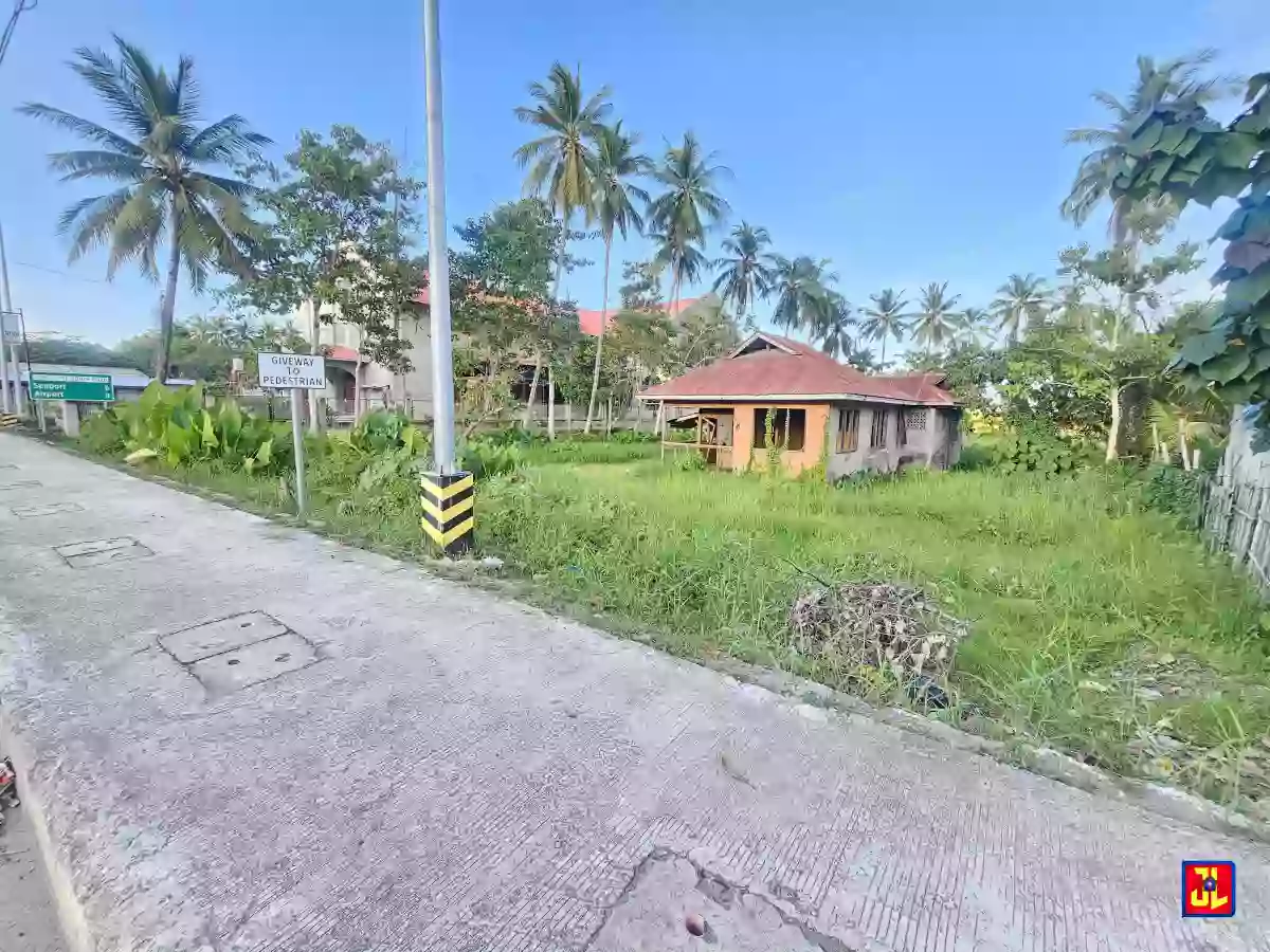 Amazing Sale! National Highway Commercial Lot in Banilad, Bacong! [available] — Commercial Lot in Dumaguete, Negros Oriental, Philippines — Photo 4