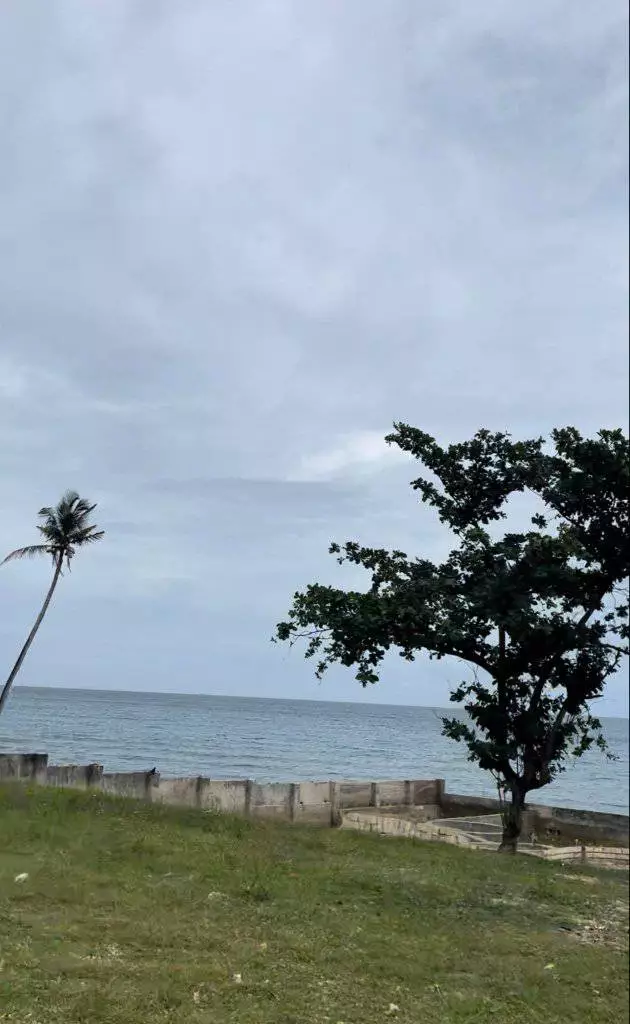 Beach Lot For Sale — Beach Lot in Philippines — Photo 3
