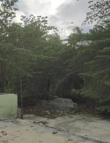 Residential Lot in a Subdivision